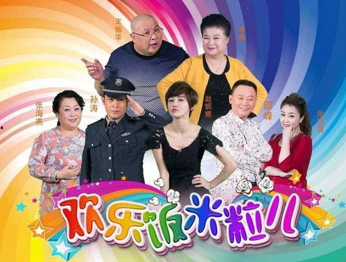 欢乐饭米粒演员名单,揭秘演员阵容，喜剧盛宴即将开启