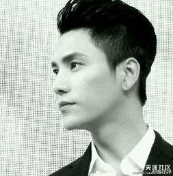 男明星图片,探寻男明星的帅气瞬间